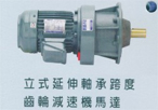 仲益大齒輪減速機