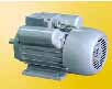 皖南 YL系列雙值電容異步電動機(jī)
