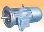 萬高 DSB系列隔爆型電動機