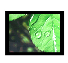 瑞豐科技 RFV-230 工業液晶監視器