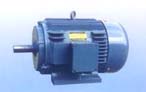 永發機電 NEMA標準高效三相異步電動機（143T-505T）