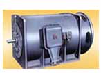 南方 YB560-800系列高壓隔爆型三相異步電動機(jī)