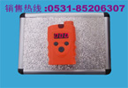瑞安電子 RBK-6000手持式液氯探測報警器
