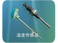 中瑞能 WZ系列工業用熱電阻