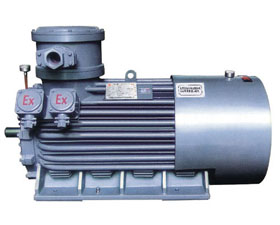 雙龍集團 YB2系列高壓隔爆型三相異步電動機（H355～450）