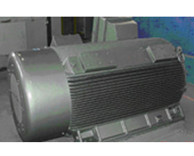 雙龍集團(tuán) Y2系列低壓大功率三相異步電動機(jī)