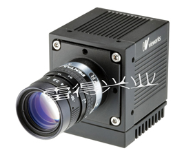 雷得興業 VA-8MC-Vieworks大靶面高速相機
