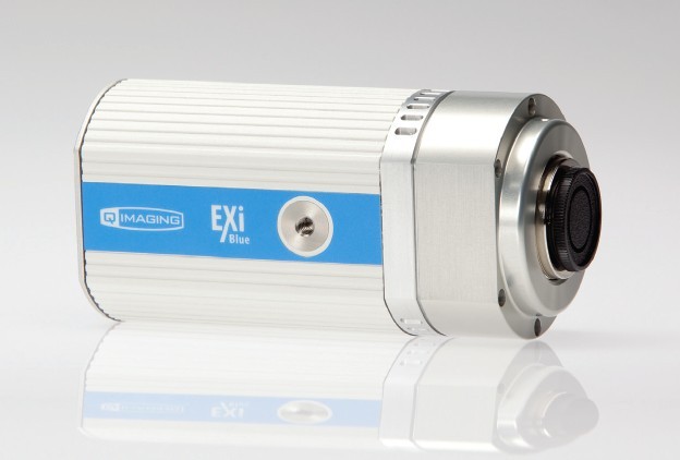 雷得興業 EXi Blue—QImaging生物成像科學相機
