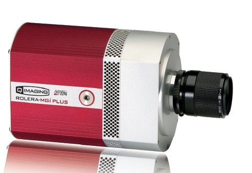 Rolera-MGi Plus—QImaging EMCCD科學相機 （雷得興業代理）